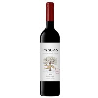 Pancas Tinto